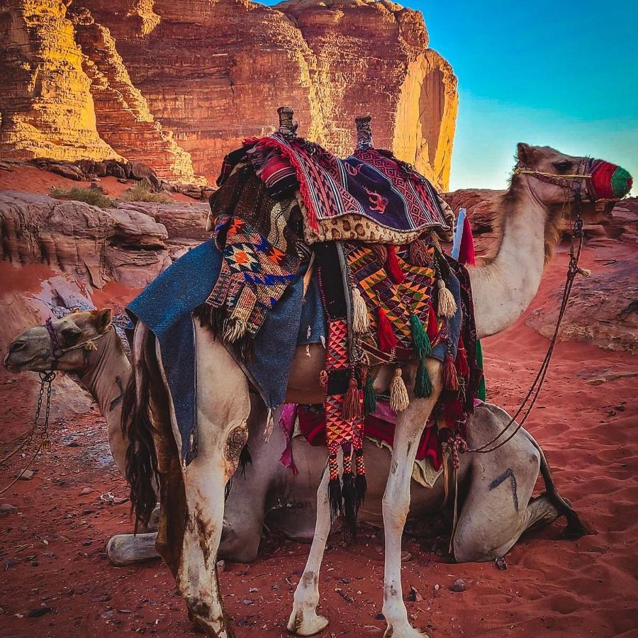 Wadi Rum Bedouin Time Zewnętrze zdjęcie