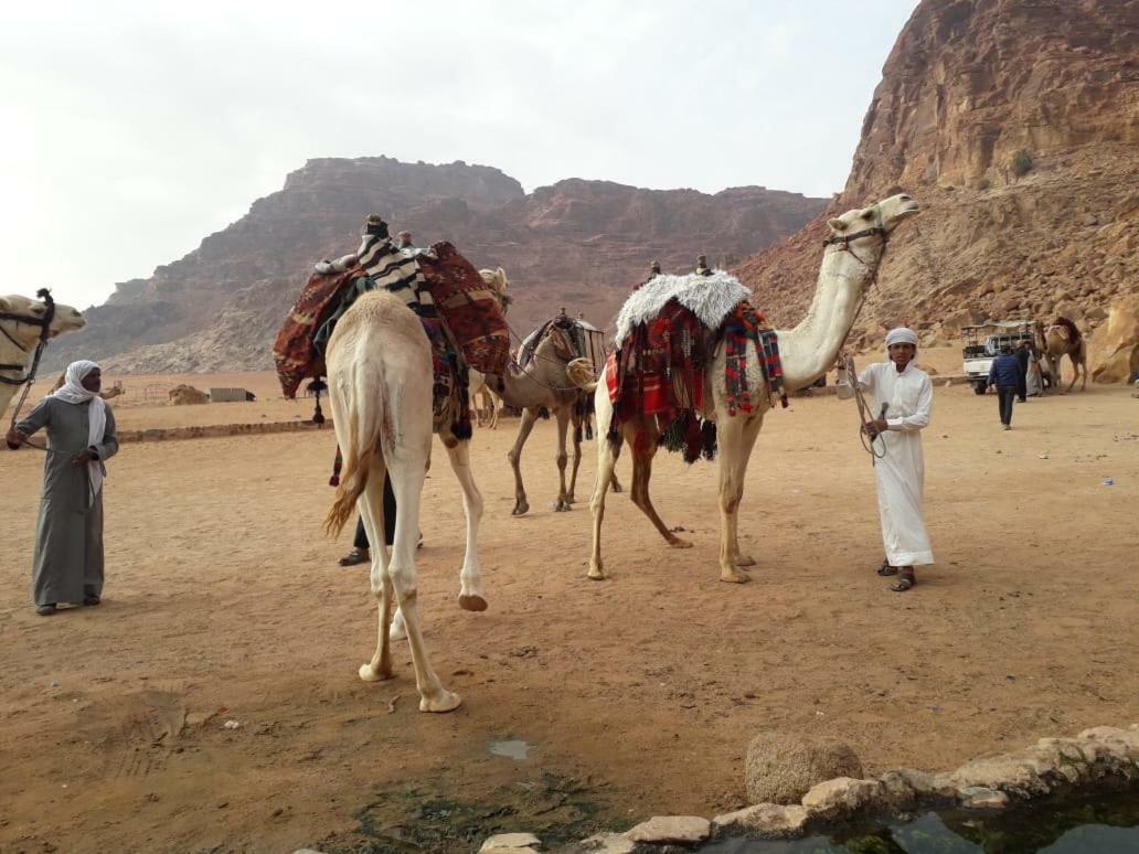 Wadi Rum Bedouin Time Zewnętrze zdjęcie