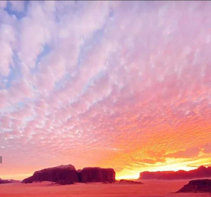 Wadi Rum Bedouin Time Zewnętrze zdjęcie